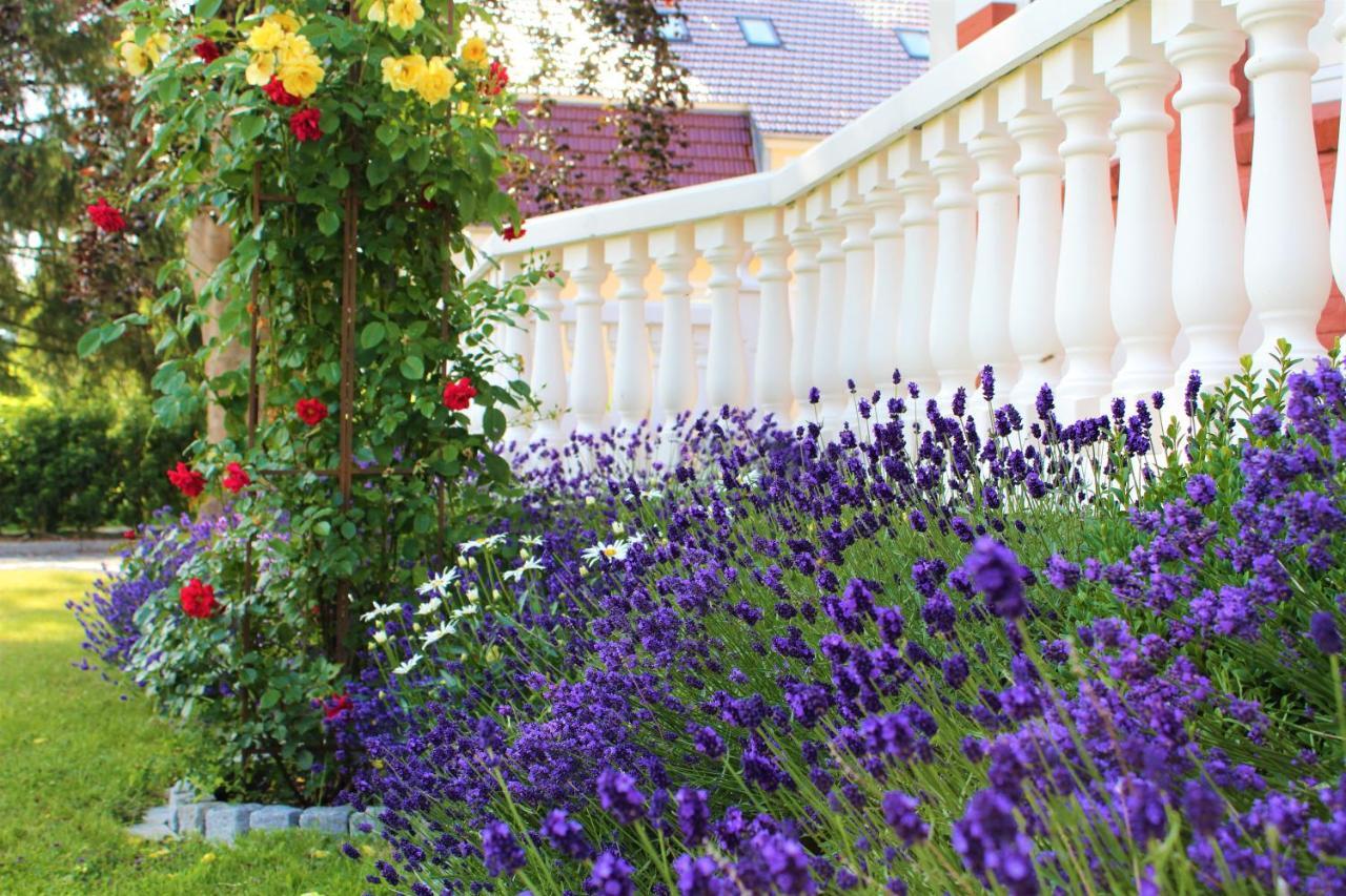 Rosen Villa Kappeln Kültér fotó